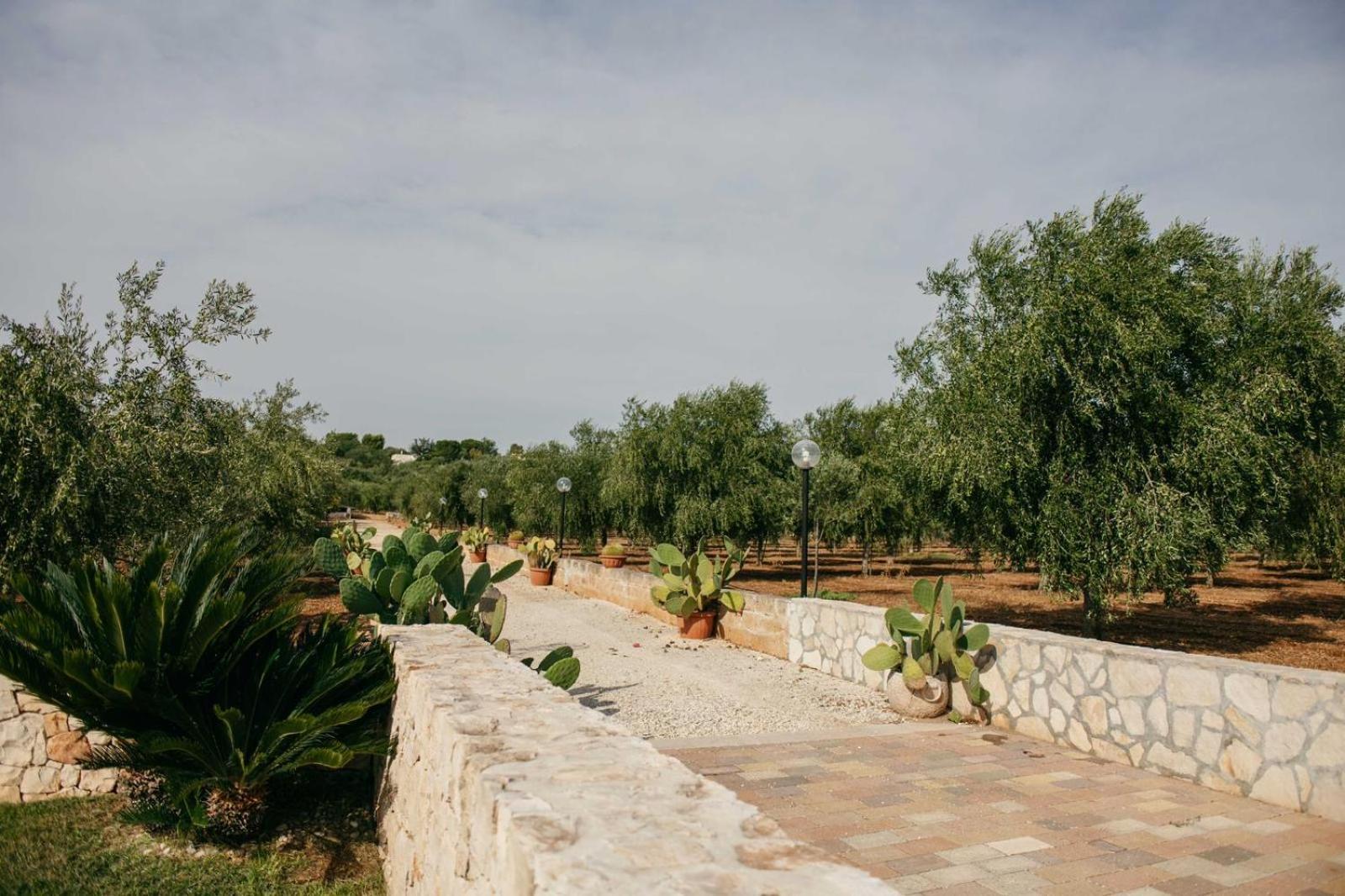 I Trulli Di Gina Appartamento Trullo 6 Persone Monopoli Ngoại thất bức ảnh