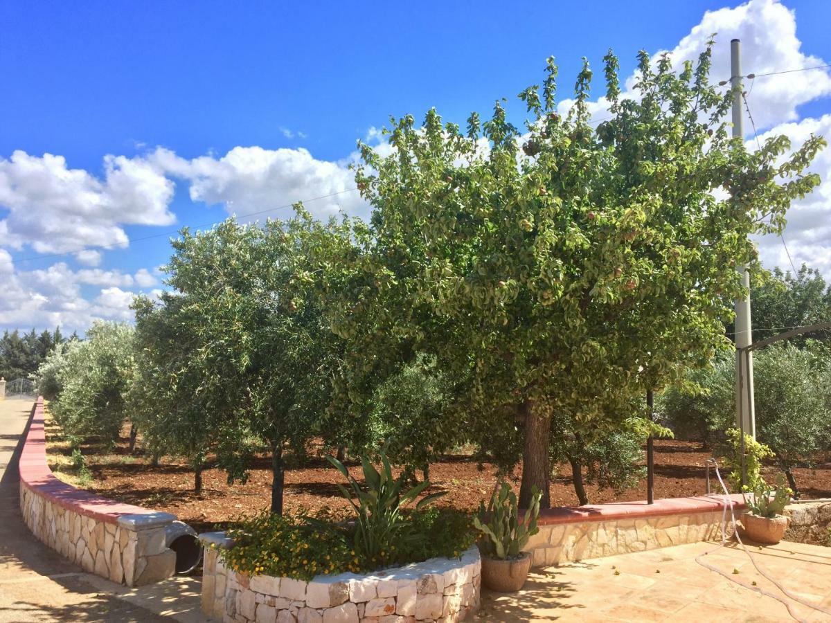 I Trulli Di Gina Appartamento Trullo 6 Persone Monopoli Ngoại thất bức ảnh